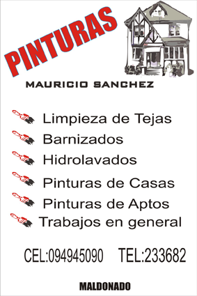 Afiche de Mauricio S Pinturas