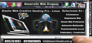 Diseño Web - Tarjeta Personal  De Webmaster